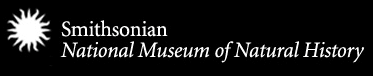 Smithsonian Museum of Natural History